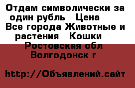 Отдам символически за один рубль › Цена ­ 1 - Все города Животные и растения » Кошки   . Ростовская обл.,Волгодонск г.